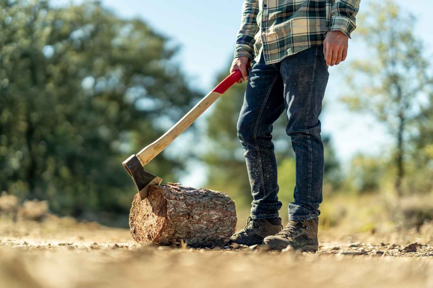 Tree Removal for Businesses